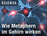Künstlerische Darstellung einer Synapse