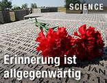 Rote Rosen auf Gedenkstätte bei Wolgograd