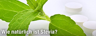 Blatt der Steviapflanze neben Stevia-Tabletten