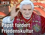 Papst Benedikt XVI. winkt der Menge zu