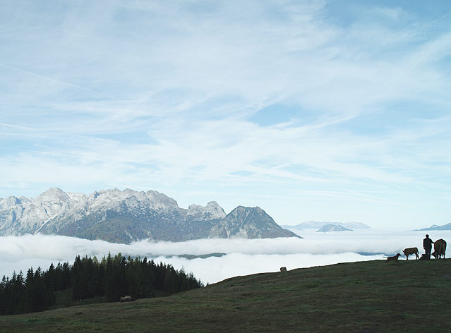 © Thimfilm Filmszene aus "die Wand"