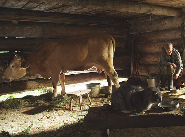 © Thimfilm Filmszene aus "die Wand"