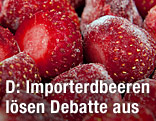 Tiefgefrorene Erdbeeren