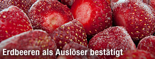 Tiefgefrorene Erdbeeren