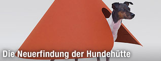 Hundemöbel