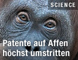 Screenshot www.patentamt.at