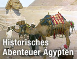 Pyramide und Sphinx