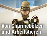 Roboter MM6