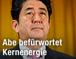 Japans  Regierungschef Shinzo Abe