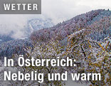 Nebel über verschneiten Hügeln