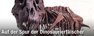 Der Tyrannosaurus Rex "Sue" als Computer-Rekonstruktion
