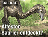 Der eventuell älteste Dinosaurier der Welt