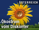 Hofer-Werbung für Ökostrom