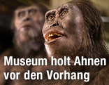 Plastische Weichteilrekonstruktionen von Australopithecus afarensis
