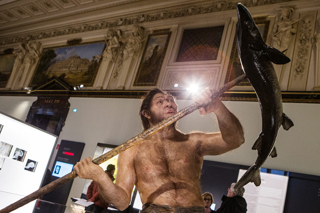 © ORF.at/Peter Pfeiffer Weichteilrekonstruktion eines Homo erectus