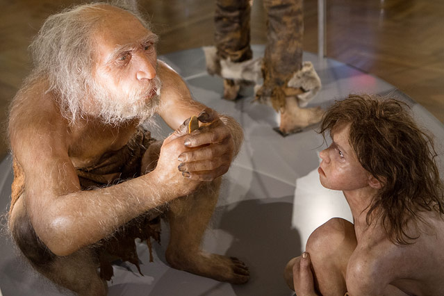 © ORF.at/Peter Pfeiffer Plastische Weichteilrekonstruktionen von Homo neanderthalensis