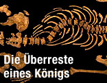 Die Überreste des Königs Richard III.