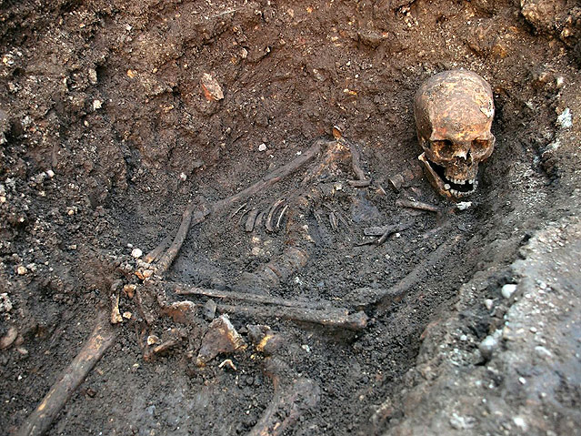 Die Überreste des Königs Richard III.