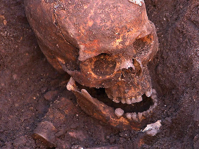 Die Überreste des Königs Richard III.