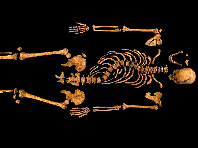 Die Überreste des Königs Richard III.