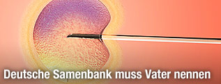 Menschliche Eizelle wird künstlich befruchtet