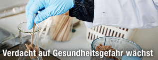 Eine Laborantin untersucht ein Stück Fleisch