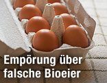 Eier in einer Eierschachtel