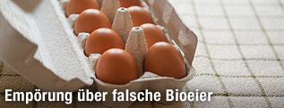 Eier in einer Eierschachtel