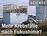 Besch&auml;digter Reaktorblock