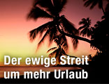 Palme bei Sonnenuntergang
