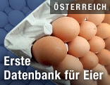 Eier in Steige