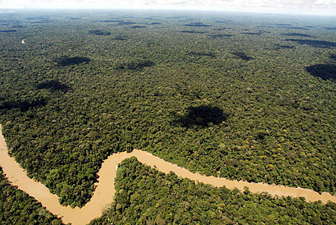 © APA/EPA/Cecilia Puebla Ein Fluss schlängelt sich durch den Urwald