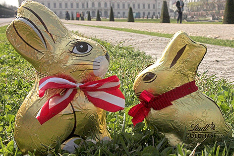 Zwei Osterhase, einer von der Firma Hauswirth und einer der Firma Lindt