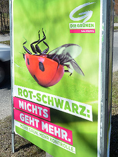 Wahlplakat der Grünen