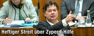 Grüne-Abgeordnete Werner Kogler