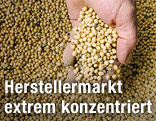 Hand mit Pflanzensamen