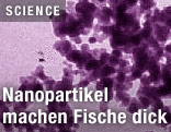 Titandioxid-Nanopartikel unter dem Elektronenmikroskop
