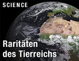 Planet Erde