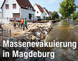Hochwasserdamm vor Siedlung in Magdeburg