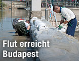 Damm in Budapest