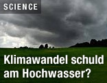 Dunkle Wolken über einer Wiese