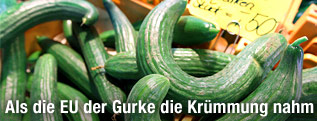 Krumme Gurken werden auf einem Markt zum Kauf angeboten