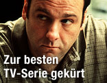  James Gandolfini 
