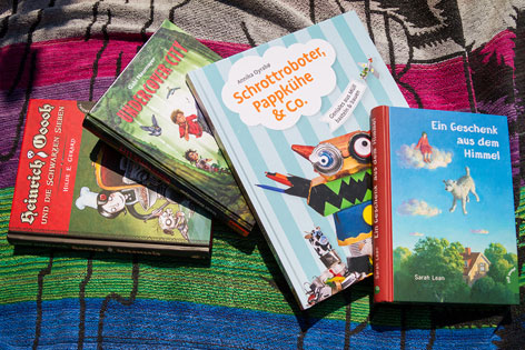 © ORF.at/Zita Köver Kinder- und Jugendbücher