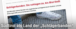 Onlineartikel