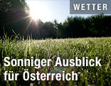 Wiese und Sonne