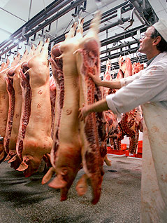 © Reuters/Alex Grimm Arbeiter in deutscher Fleischfabrik