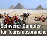 Kamele vorPyramiden in Ägypten