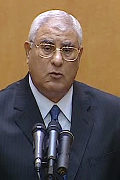© APA/AP/Egyptian State TV Adly Mansour