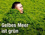 Mann hat sich mit Algen eingedeckt